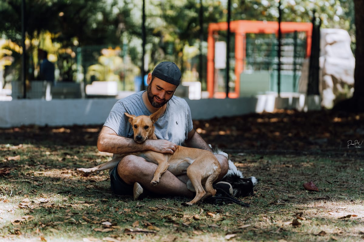 Virgilio, Head Trainer at Balance Dog Centre